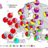Mapa de Europa de Haplogrupos-y